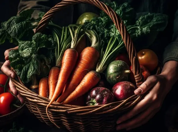 Best Catering in Seattle